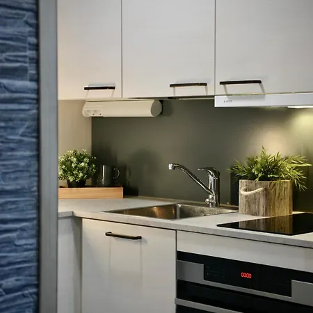 Aava Sky Village Aurinkomaja 4* Aavasaksa